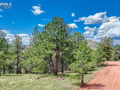 329 Wabash Ter, Cripple Creek, CO, 80813