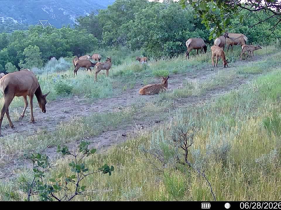 1st image of 13 Tbd Hwy