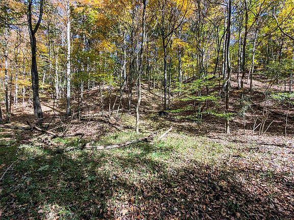4th image of 2476 Round Hill Rd