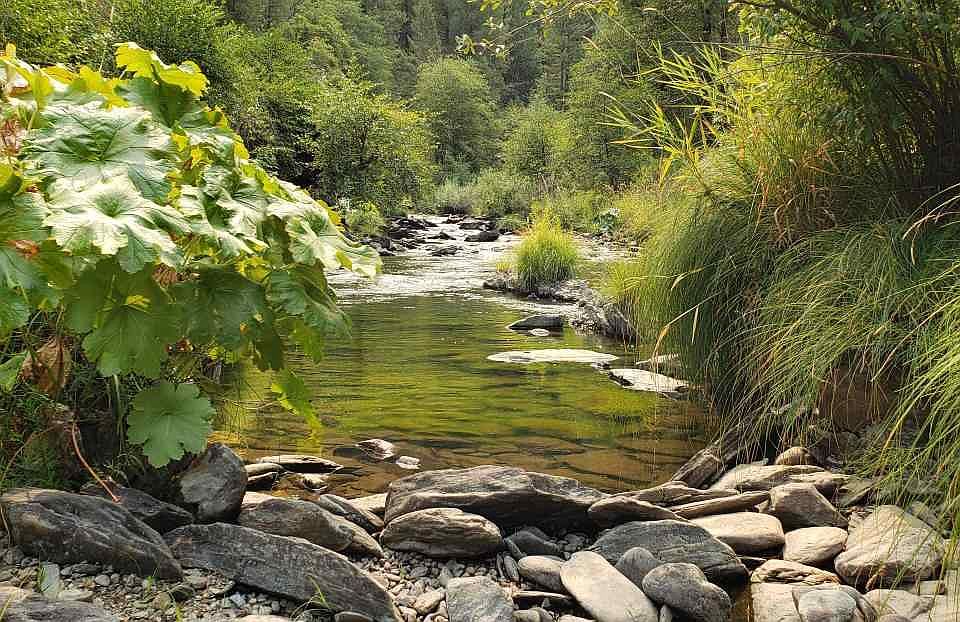 36231 Highway 70, Quincy, CA 95971 MLS 20221138 Zillow