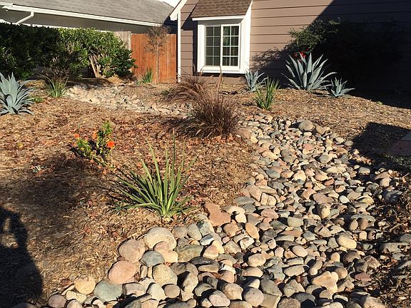 Low water and Low Maintenance Landscaping