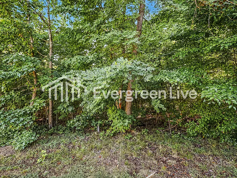 515 Denny Rd — Photo 9