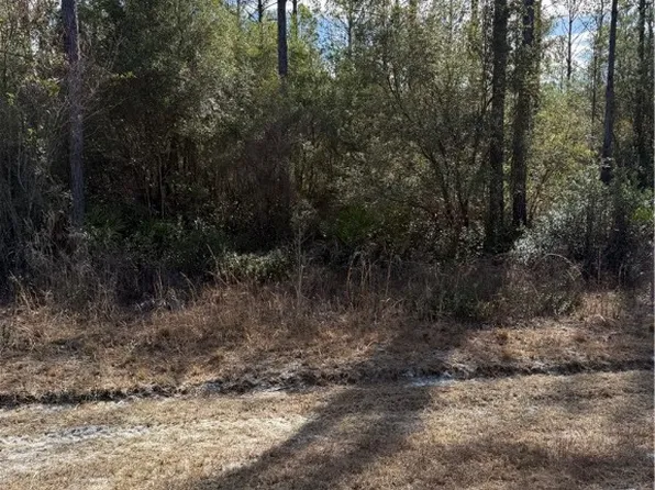 0 Heritage Cir, Hortense, GA 31543