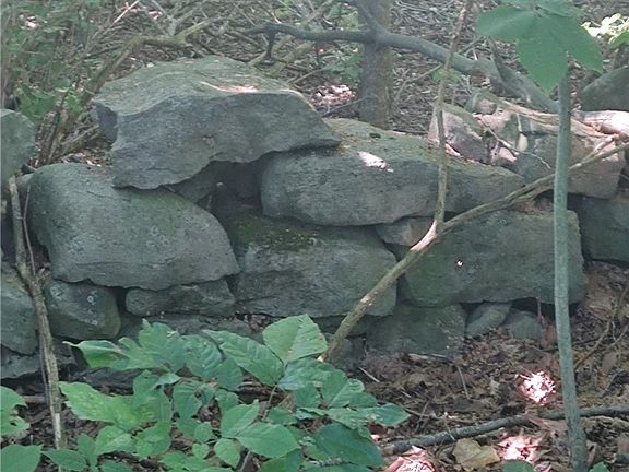 4th image of 5337 Kasson Rd