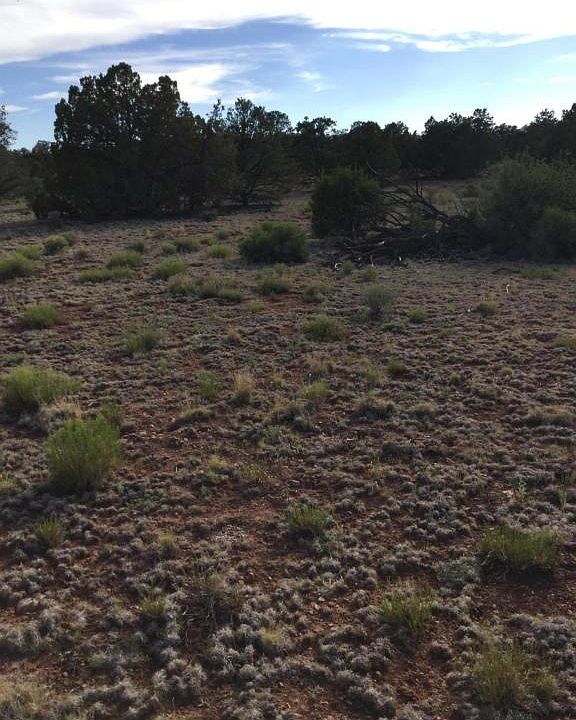 2nd image of 2723 S Carmella Dr