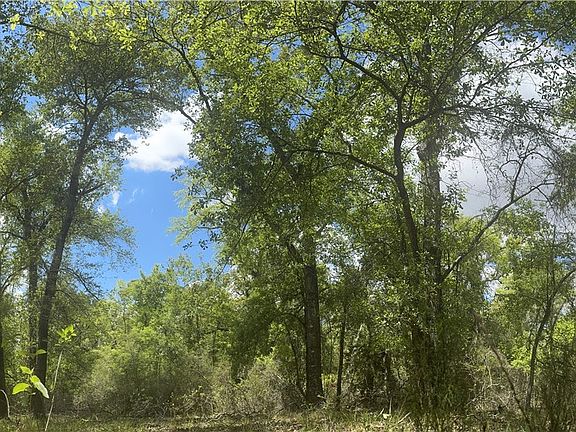 5th image of 3816 Pin Oak Rd