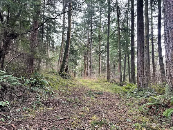 656 Puffin Court, Camano Island, WA 98282