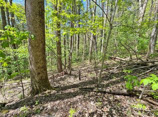 Tbd Nc 209 Hwy, Hot Springs, NC 28743