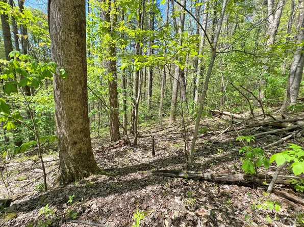 Tbd Nc 209 Hwy, Hot Springs, NC 28743
