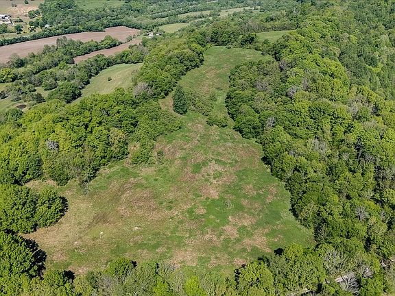 41st image of 7480 Beech Hill Rd