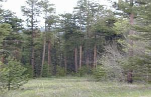 1st image of 431 Mountain View Avenue