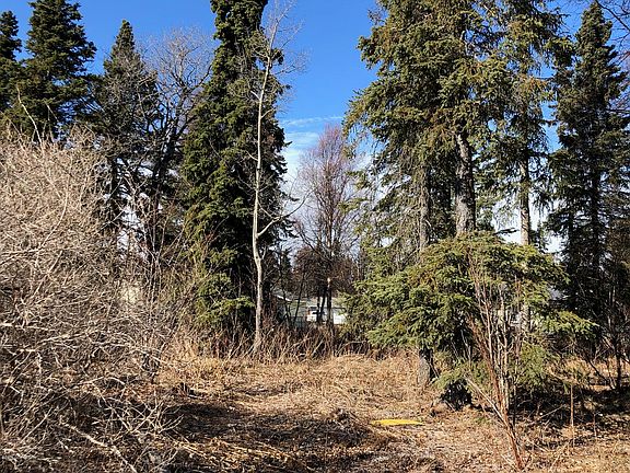 4th image of 1604 Salmo Cir