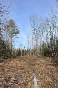 Lot 10 Albion Road, Freedom, ME, 04941
