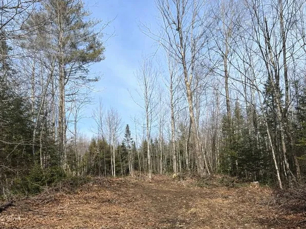 Lot 10 Albion Road, Freedom, ME 04941