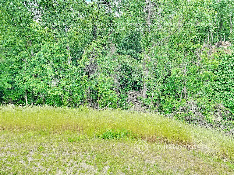 1006 Alston Hill Dr — Photo 29