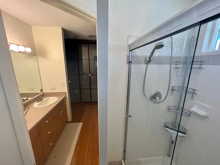 master shower and bathroom