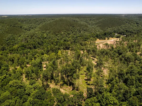 TRACT 11 & Co Rd #12-126, Waterloo, AL 35677
