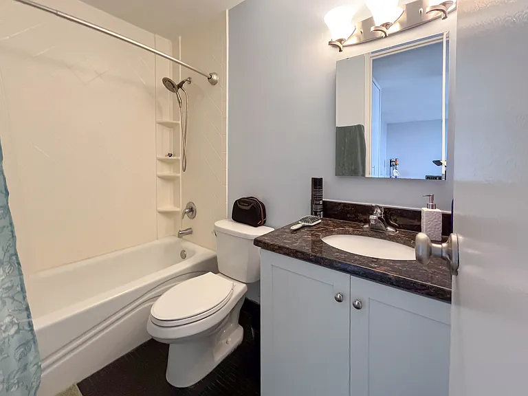 1660 N Lasalle St #1608 — Photo 11