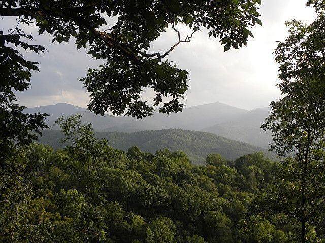 Summer View