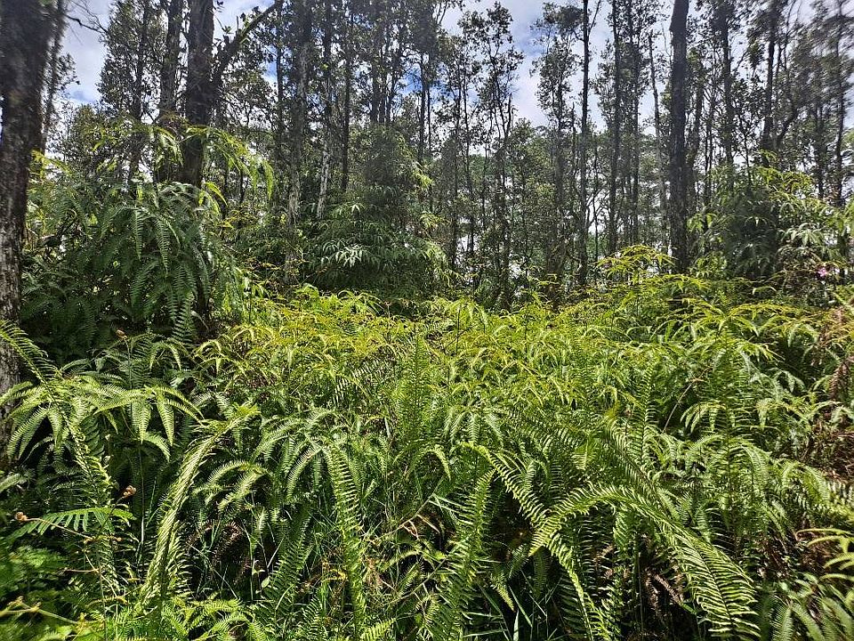 2nd image of Kehau Rd Lot 930