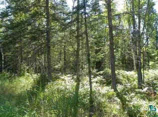 75XX Bear Trap Junction Rd, Saginaw, MN 55779