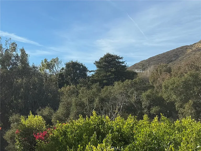 31869 Sea Level Dr — Photo 19