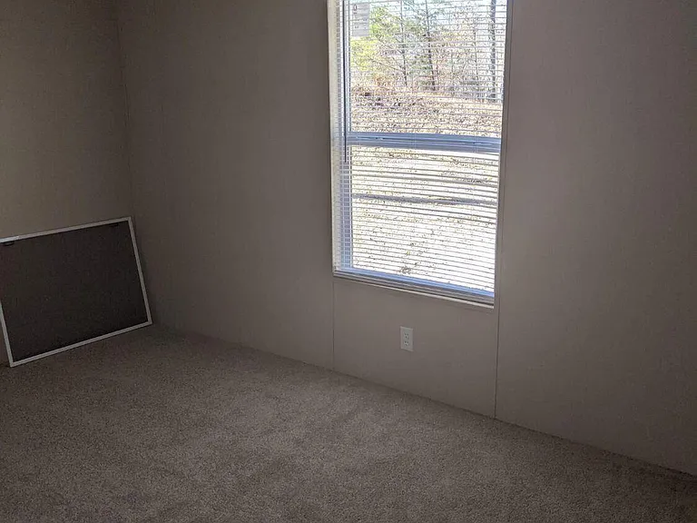 249 Devils Neck Rd — Photo 16
