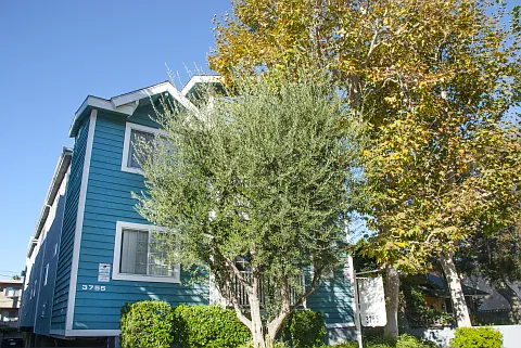 3755 Delmas Ter #203
