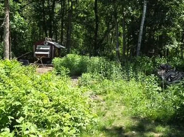 33810 Wildberry Ln, Pequot Lakes, MN 56472