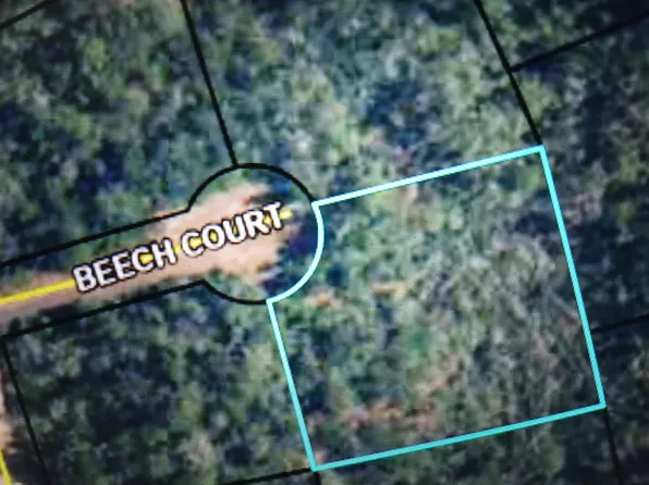 000 Beech Court, Alford, FL 32420