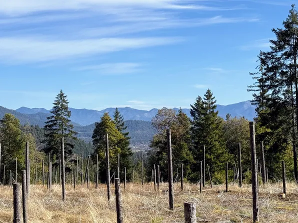 Cedar Flat Rd, Cave Junction, OR 97523