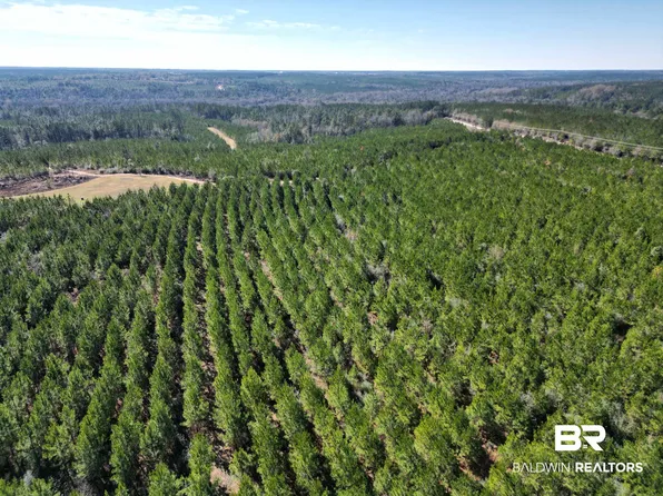 1 Robinsonville Rd, Atmore, AL 36502