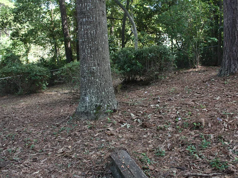 169 Fairway Dr — Photo 14