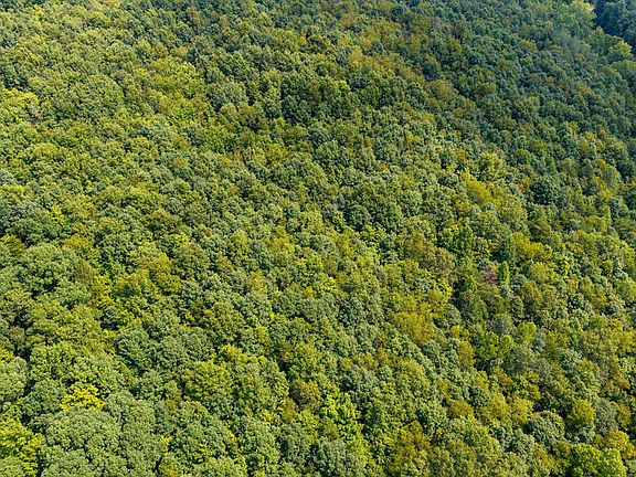 5th image of 0 Bear Run Rd