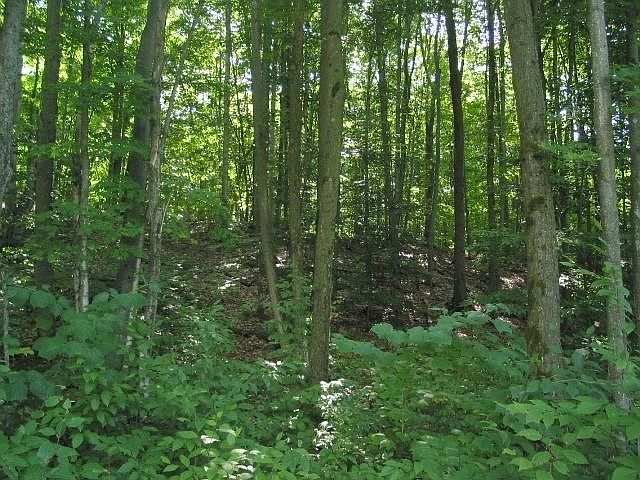 1st image of 6141 Wintergreen Dr