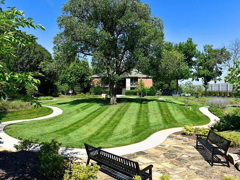 The Willows — Photo 3