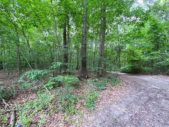 5th image of 0 Wismer Rd