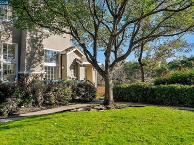 1004 Phoenix St, Danville, CA, 94506