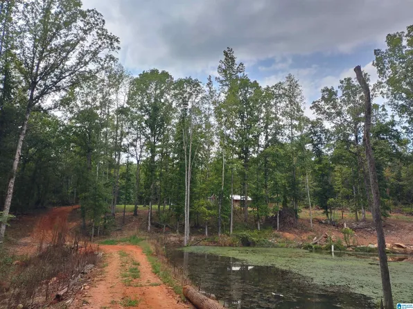 0 Highway 9 #0, Kellyton, AL 35089