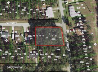 3118 E Joseph Ln, Inverness, FL 34453