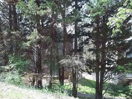 1st image of 645 Shadywood Ln