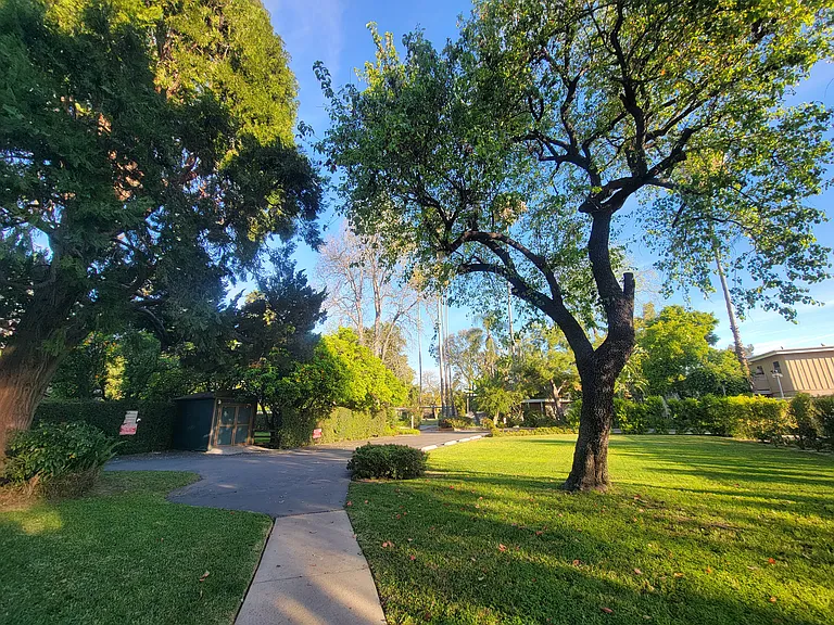 7249 Allott Ave — Photo 13