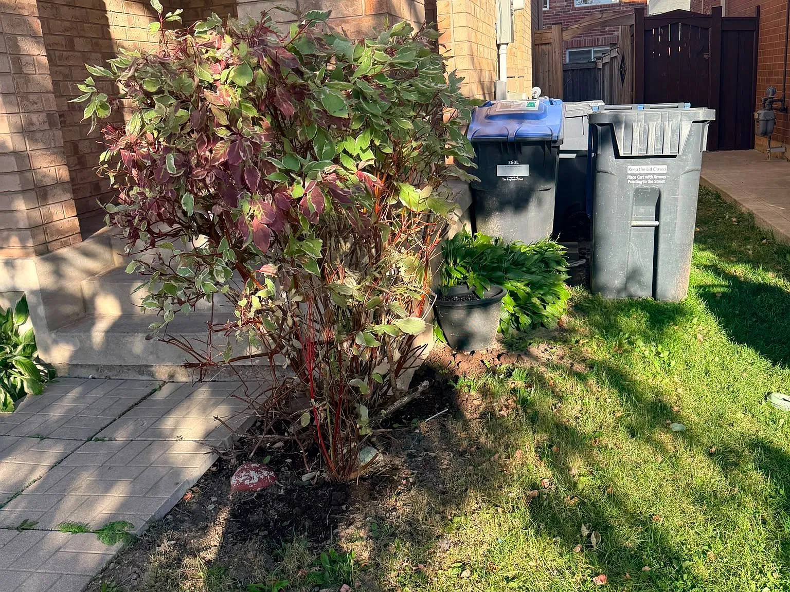 3 bed, $2,650 — Photo 3