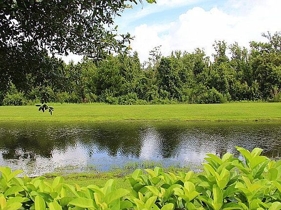 Serene Waterfront/Conservation View