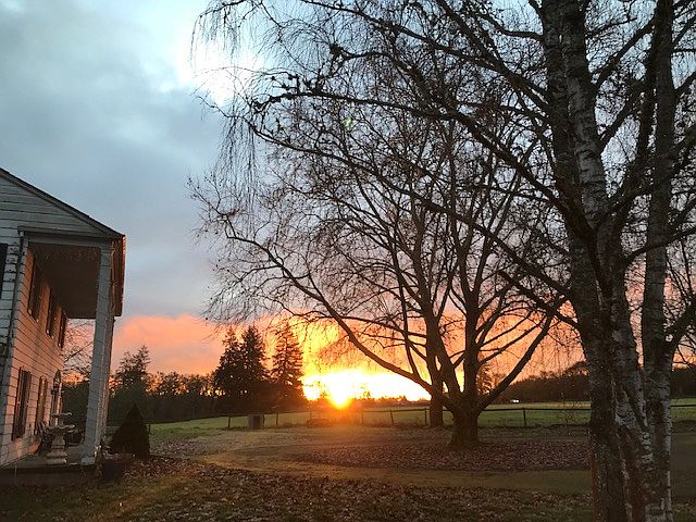 Sunrise over Hay Field