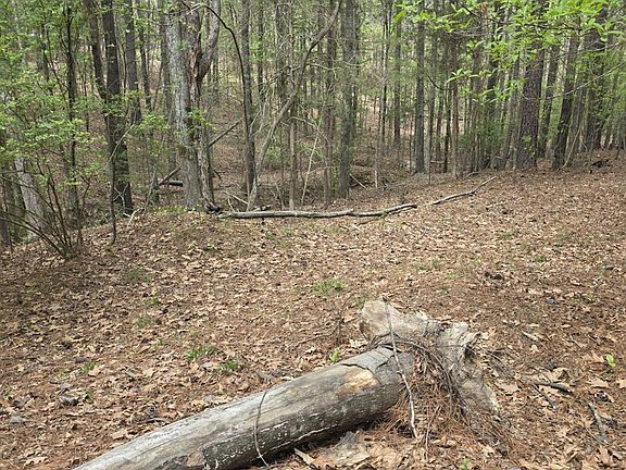 5th image of 2093 Lometa Rd