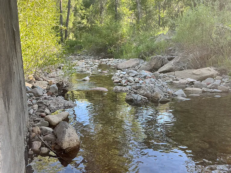view from under bridge on/leading to property (Junction creek)