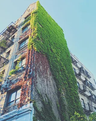 Rented by New York Residence | media 15