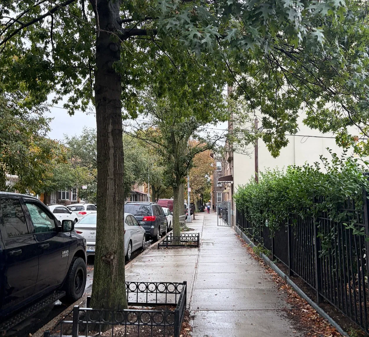2 bed, 1.0 bath, $3,195 — Photo 1