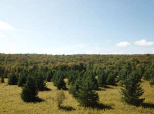 0 Chapin Rd, Georgetown, NY 13072